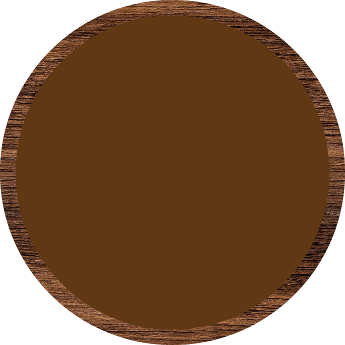Holzscheibe Icon/Siegel Bfda