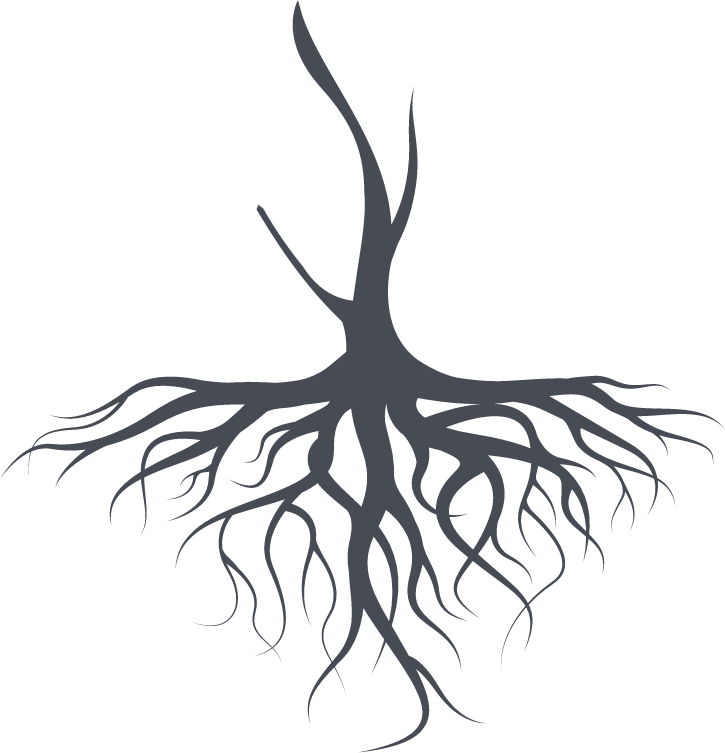 Transparent Wurzel Grafik